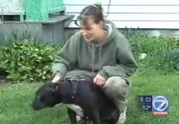 Pit Bull Saves Owner’s Life