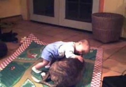 Twelve Month Old Baby Playing With Pit Bull