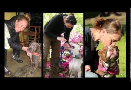 Tribute To A Pit Bull Rescue Woman