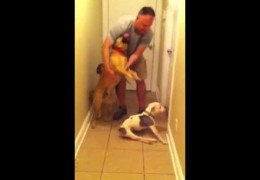 Special Needs Dog Welcomes Home Airman Dad