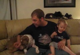 Pit Bull Saves Baby’s Life