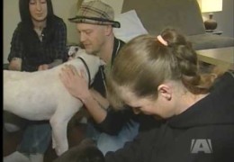 Pit Bull In Shelter Given A New Life In Port Alberni