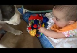 Pit Bull Puppy Makes Baby Giggle