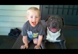 Pit Bulls Playing With Babies