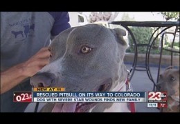 Trooper Finds New Home In Colorado