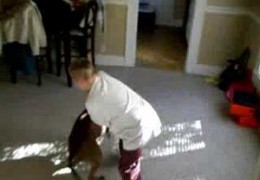 Boy And Pit Bull Playing