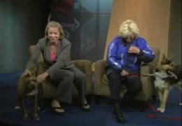 Pit Bull Gets Excited When Meeting News Anchor