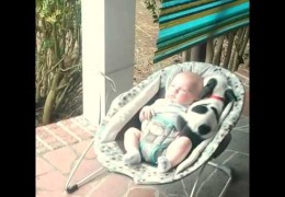 Eisleigh And Clyde The Pit Bull Puppy Are Best Friends
