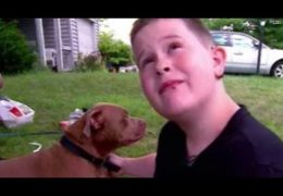 Heroic Pit Bull Saves Deaf Boy From Burning Home