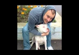 The Rescue Story Of A Pit Bull Named Thor