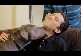 Autistic Boy Finds The Meaning Of Love Through A rescued Pit Bull