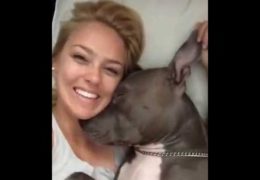 Waking Up Next To A Pit Bull