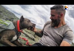 Recovering Addict And His Pit Bull Rescued Each Other