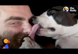 This Guy Proves How Sweet Pit Bulls Really Are